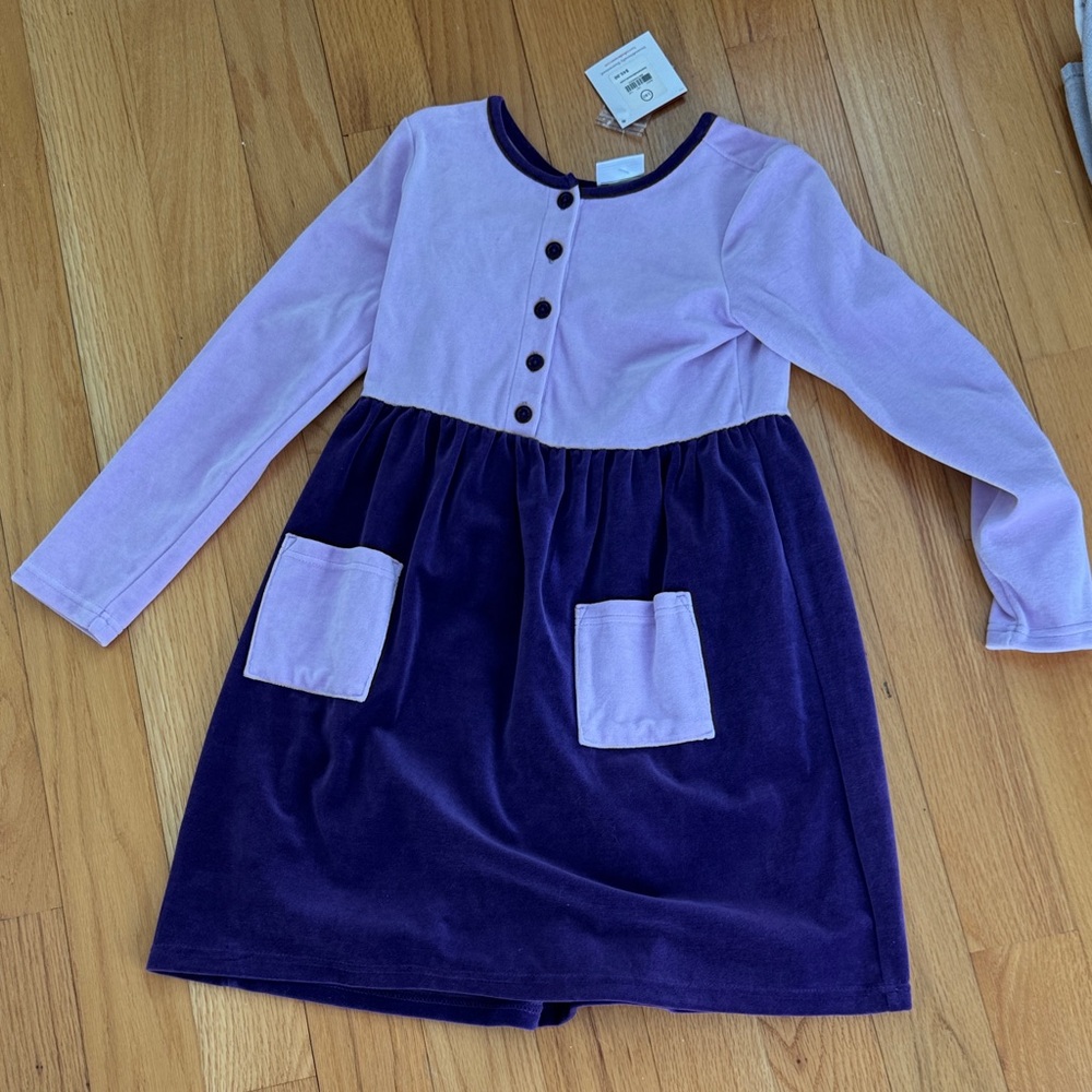Hanna Andersson Purple and Lavender Kids Velvet Dress